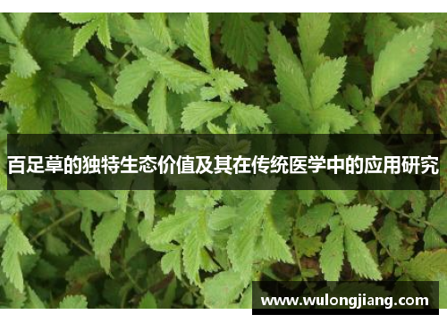 百足草的独特生态价值及其在传统医学中的应用研究